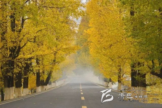 康定新都橋，有一條黃金大道通往夢(mèng)中的天堂