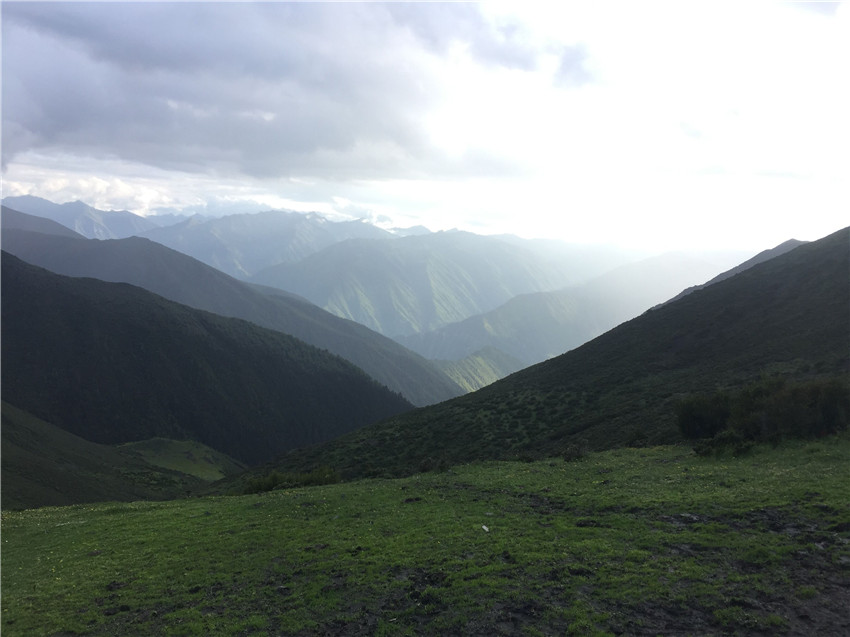 牧場遠眺。.jpg