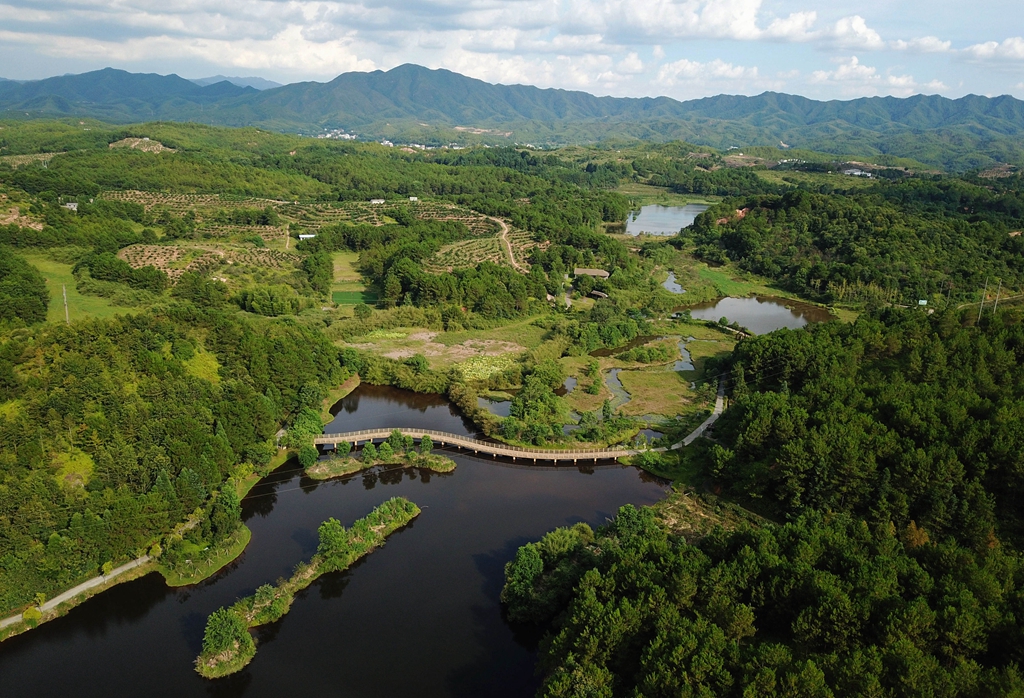 福建省龍巖市長汀縣的長汀汀江國家濕地公園景色（2020年7月28日攝，無人機(jī)照片）。新華社記者 魏培全 攝