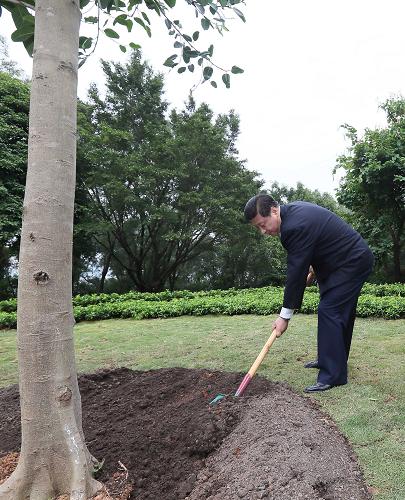 2012年12月7日至11日，習(xí)近平在廣東省考察工作。這是8日上午，習(xí)近平在深圳蓮花山公園種下一棵高山榕樹。新華社記者 蘭紅光 攝