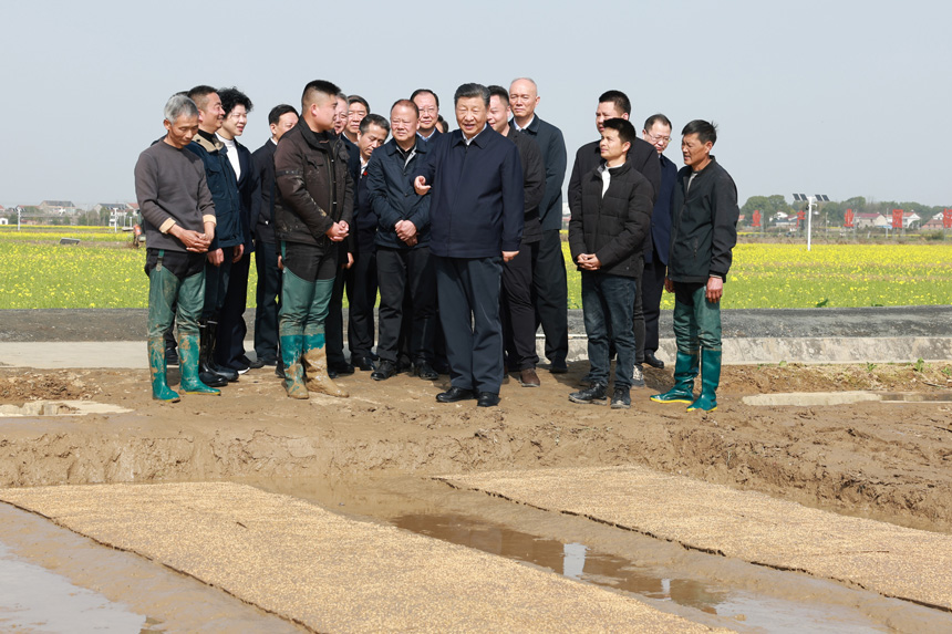 2024年3月18日至21日，中共中央總書記、國家主席、中央軍委主席習(xí)近平在湖南考察。這是19日下午，習(xí)近平在常德市鼎城區(qū)謝家鋪鎮(zhèn)港中坪村走進(jìn)田間，察看秧苗培育和春耕備耕進(jìn)展。新華社記者 王曄 攝